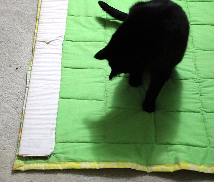 cat sitting on a quilt