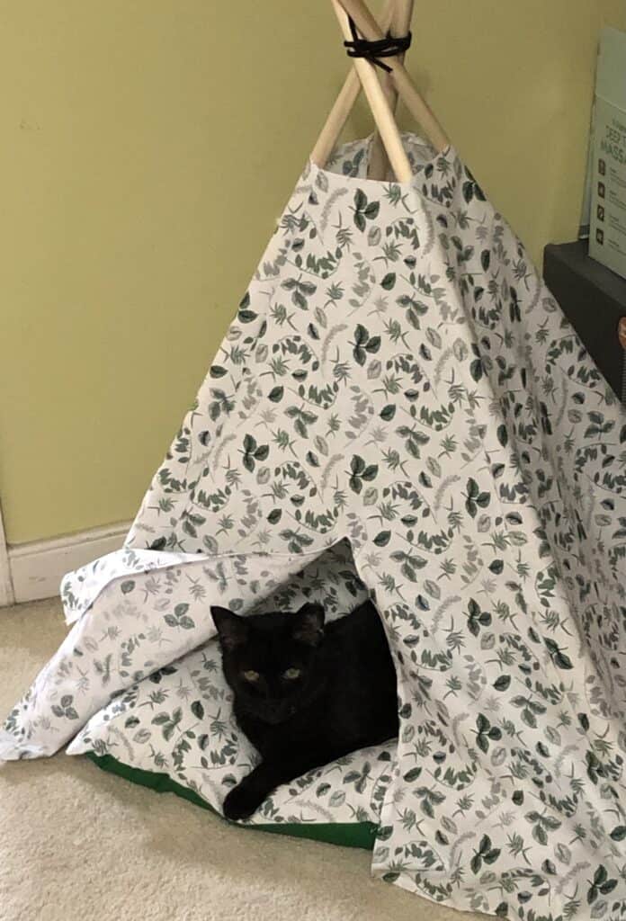 black cat sitting in a cat teepee