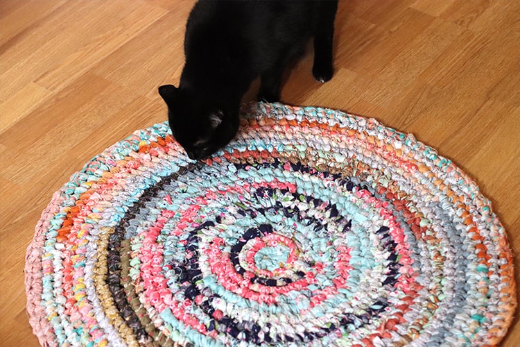 Cats love rag rugs