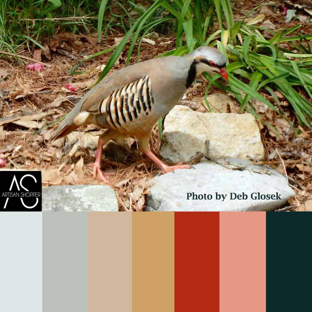 nature inspired color scheme grey bird
