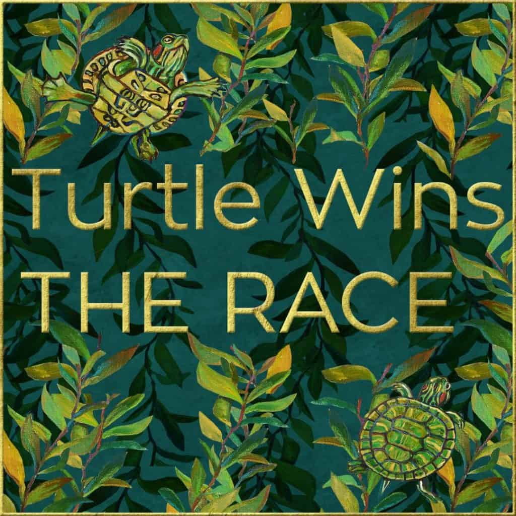 Turtle wins the race logo