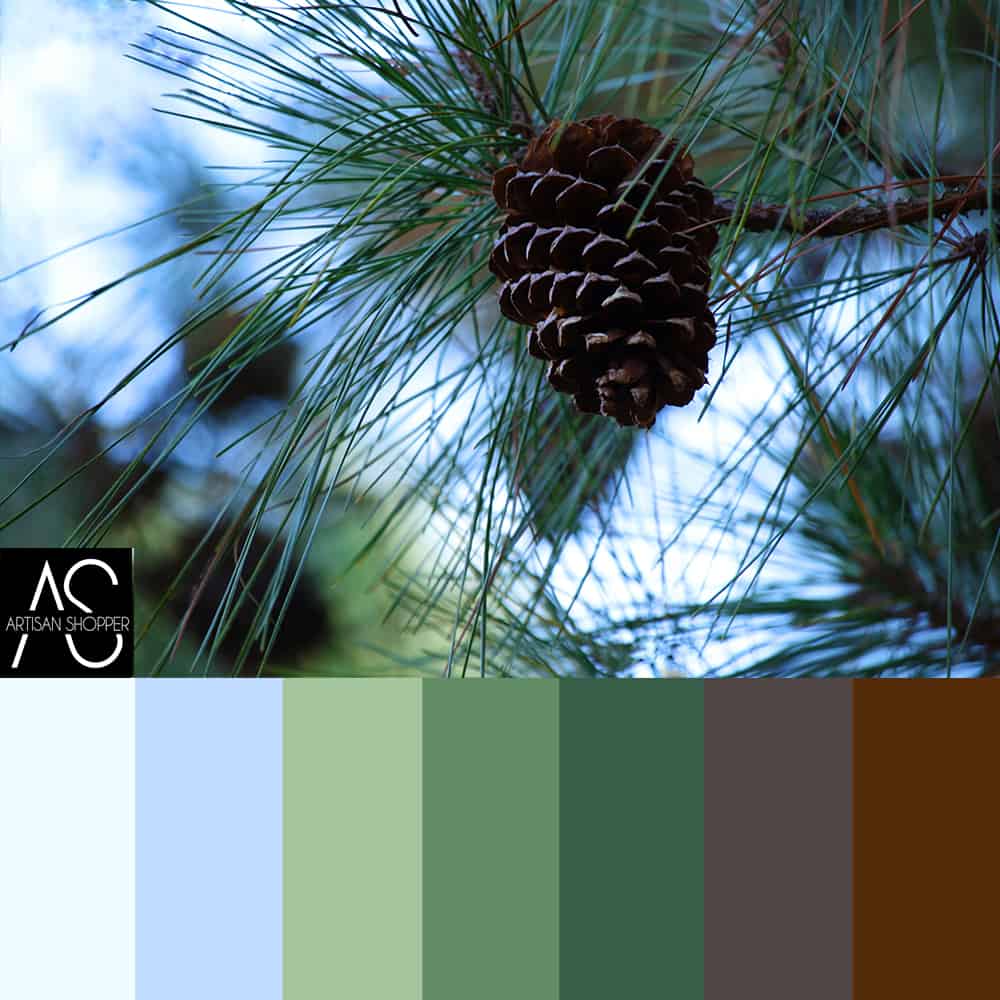 pinecone nature color palette
