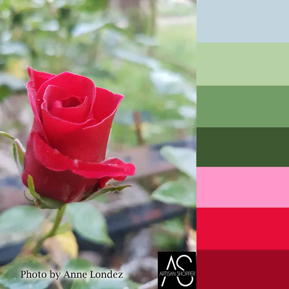 red rose bud color palette