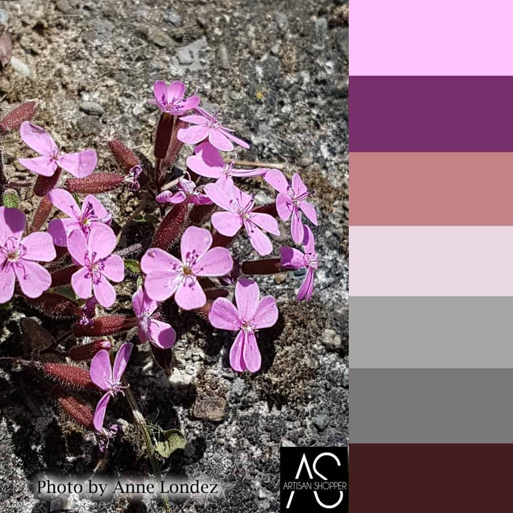 purple flowers color palette
