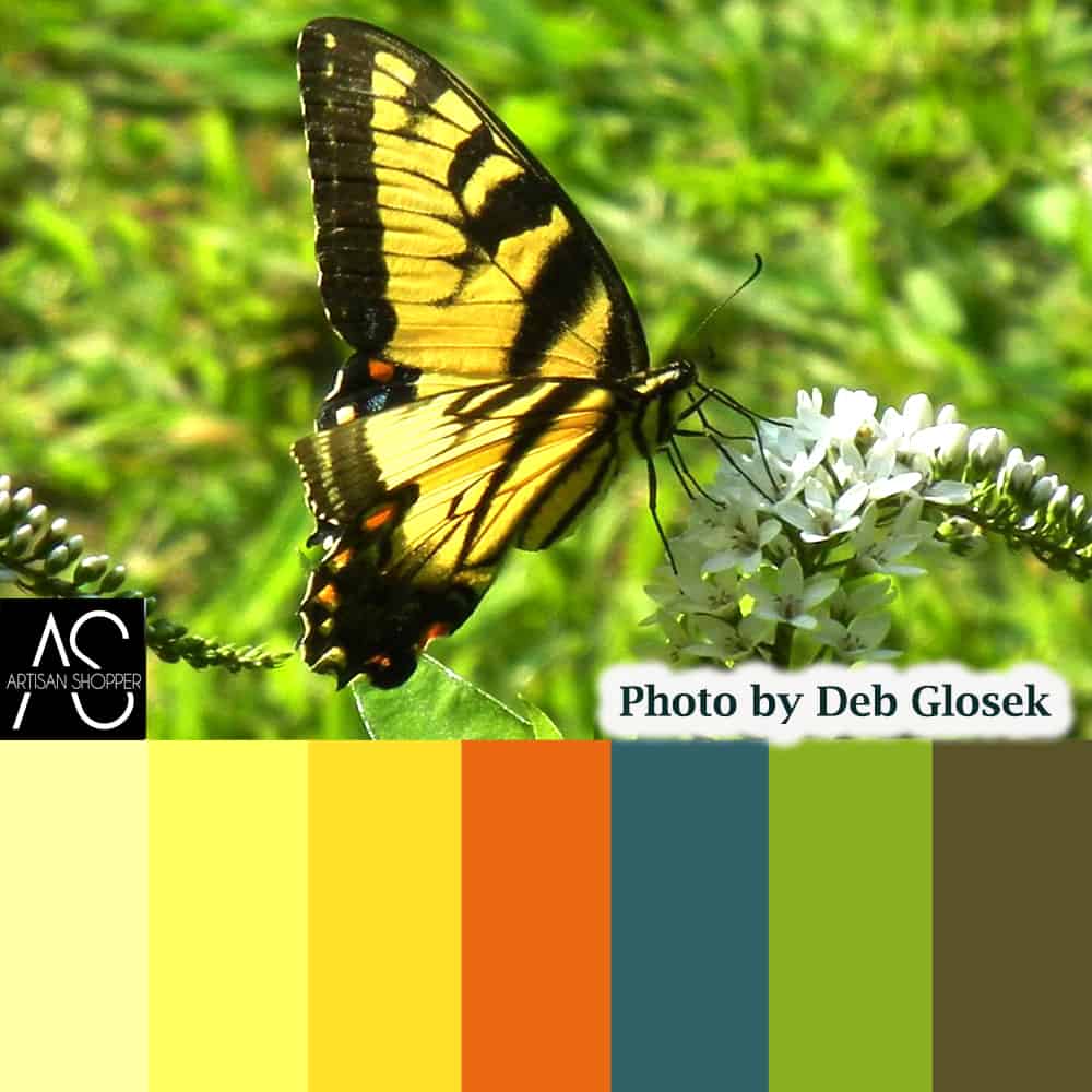 nature inspired color scheme butterfly