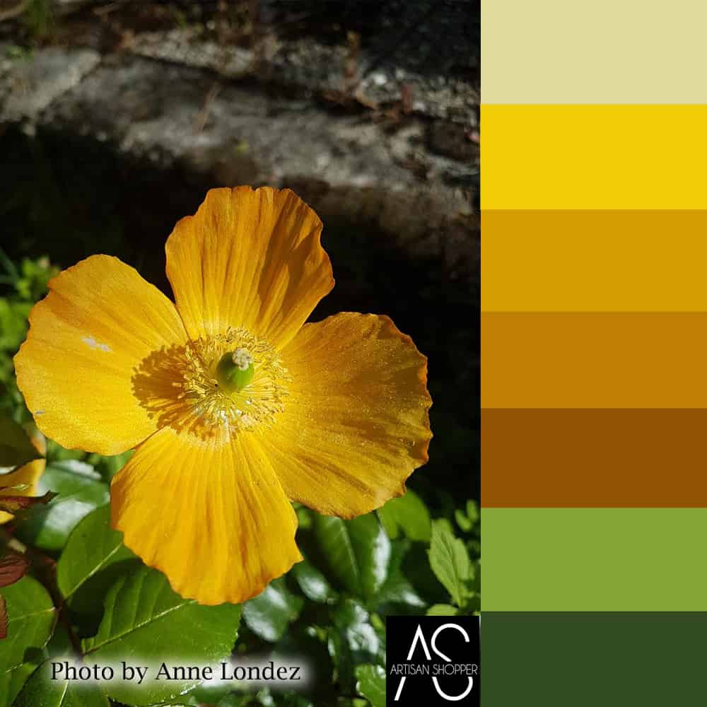 nature inspired color palette yellow poppy