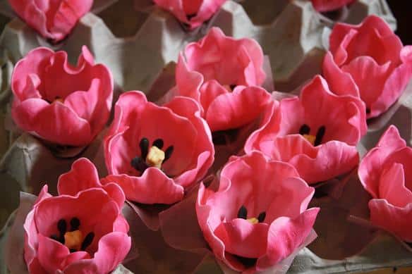 Gumpaste tulips