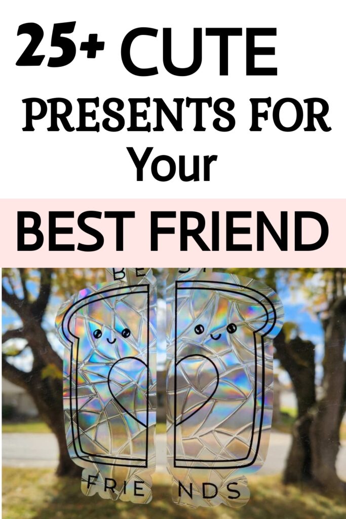 25+ presents for your best friend