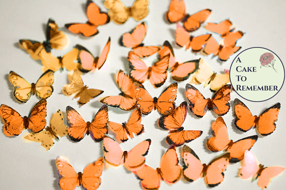 orange edible butterflies
