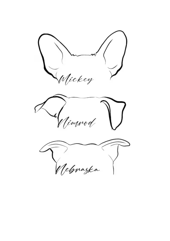 line drawing portrait of dog ears with names