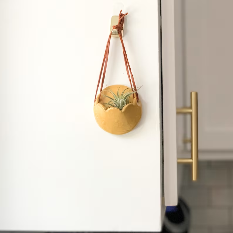 ceramic plant hanger on a wall