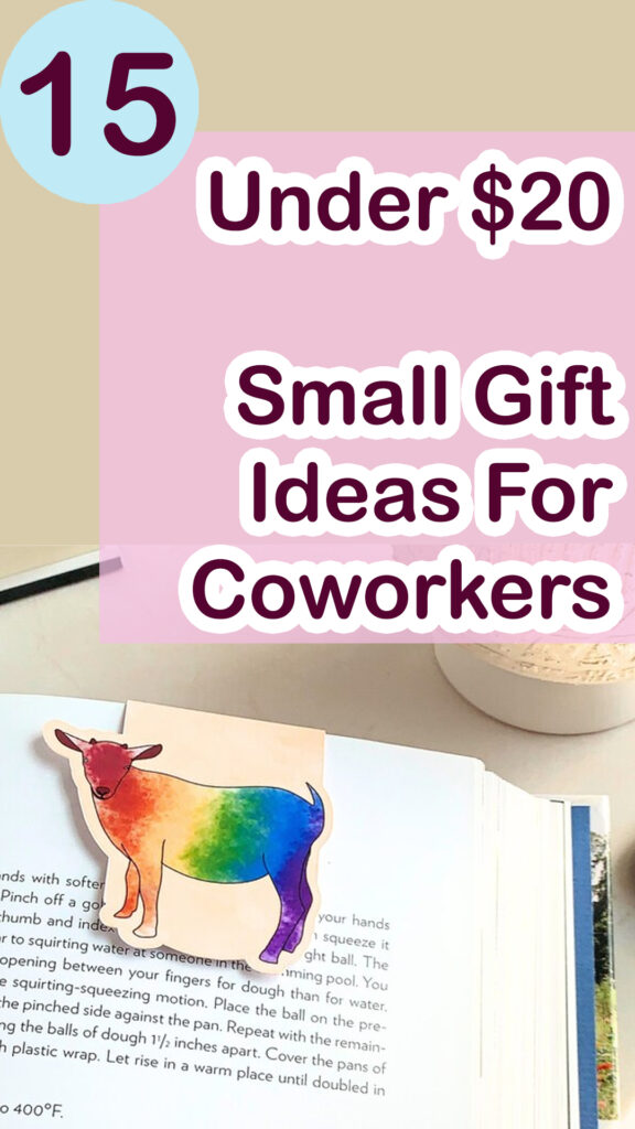 15 gifts under 20 for coworkers