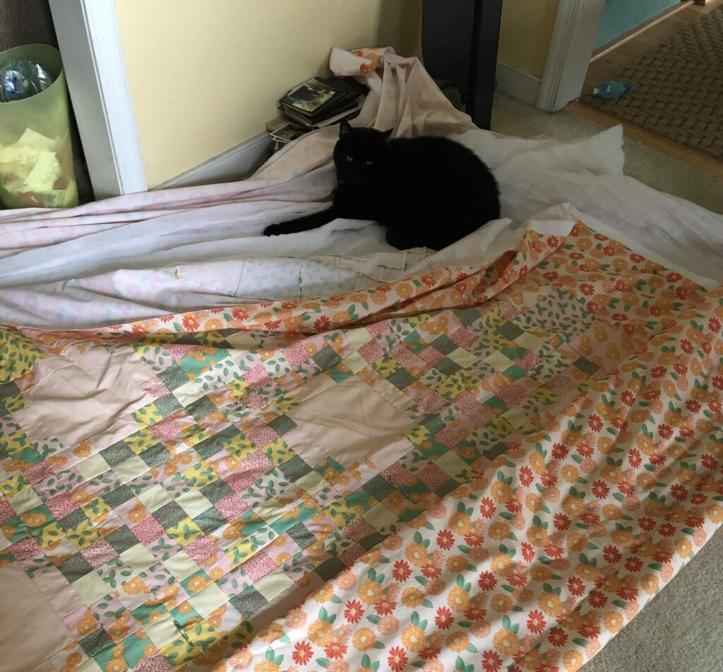 Cat sitting on the quilt as it's being pinned together