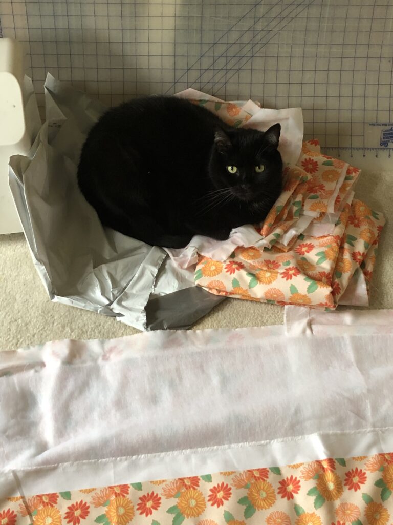Cat sitting on the quilt top