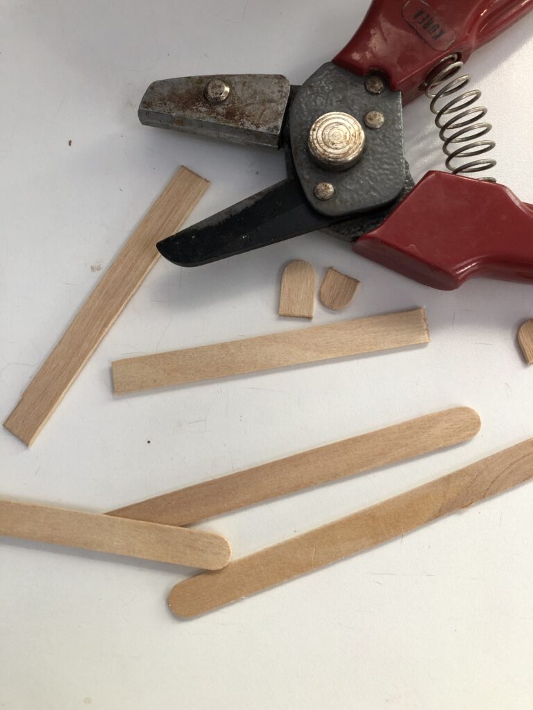 pruning shears to cut popsicle sticks