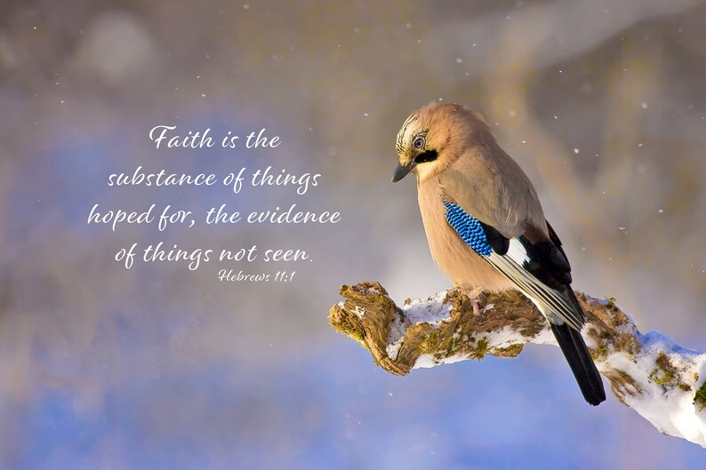 photo of a bird with bible verse printed on the image